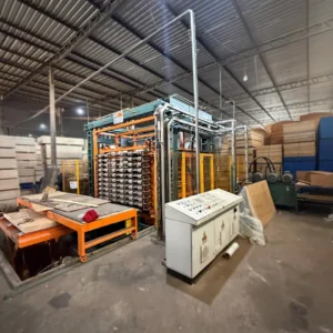 Prensa de placagem automatica Omeco com 11 pratos macicos - foto 4